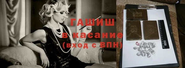 сатива Новозыбков