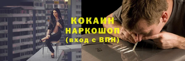 сатива Новозыбков