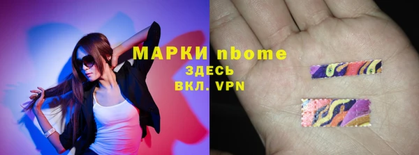 шишки Болотное