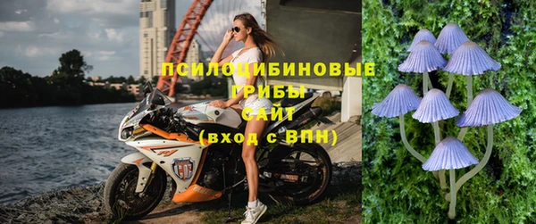 MDMA Новодвинск