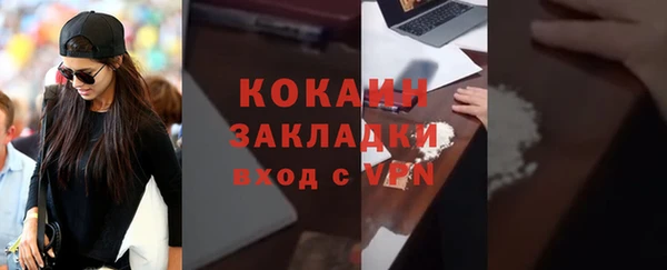 сатива Новозыбков