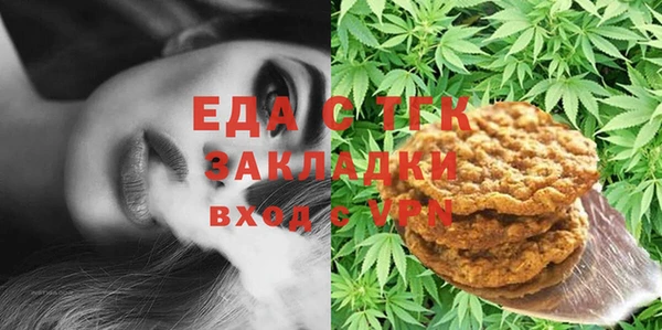сатива Новозыбков