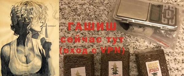 сатива Новозыбков