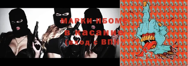сатива Новозыбков