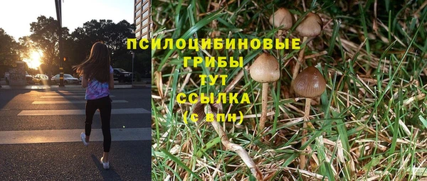 амф Нефтекумск