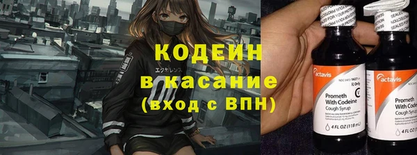 apvp Нея